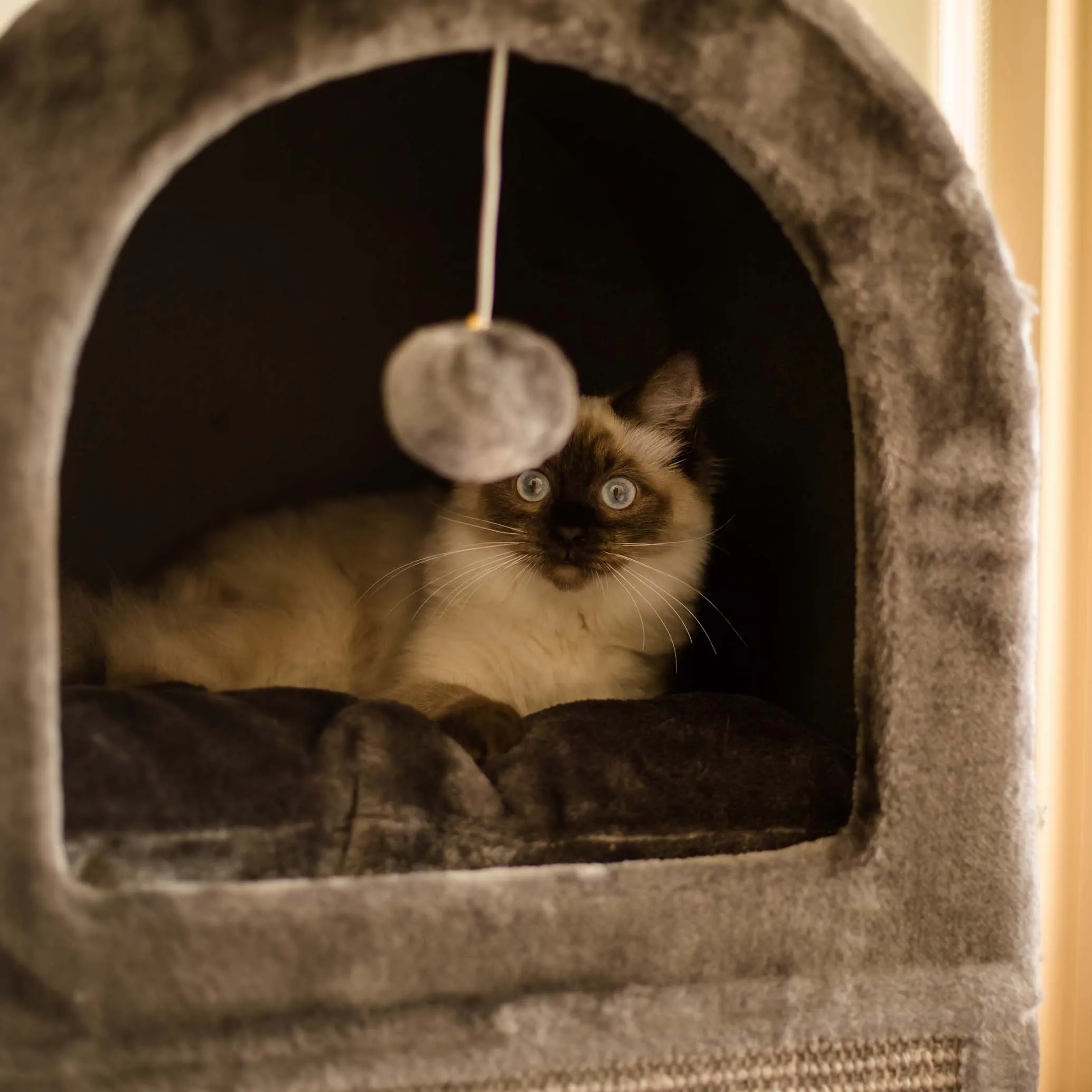 2 Chambers Cat Den - Charcoal