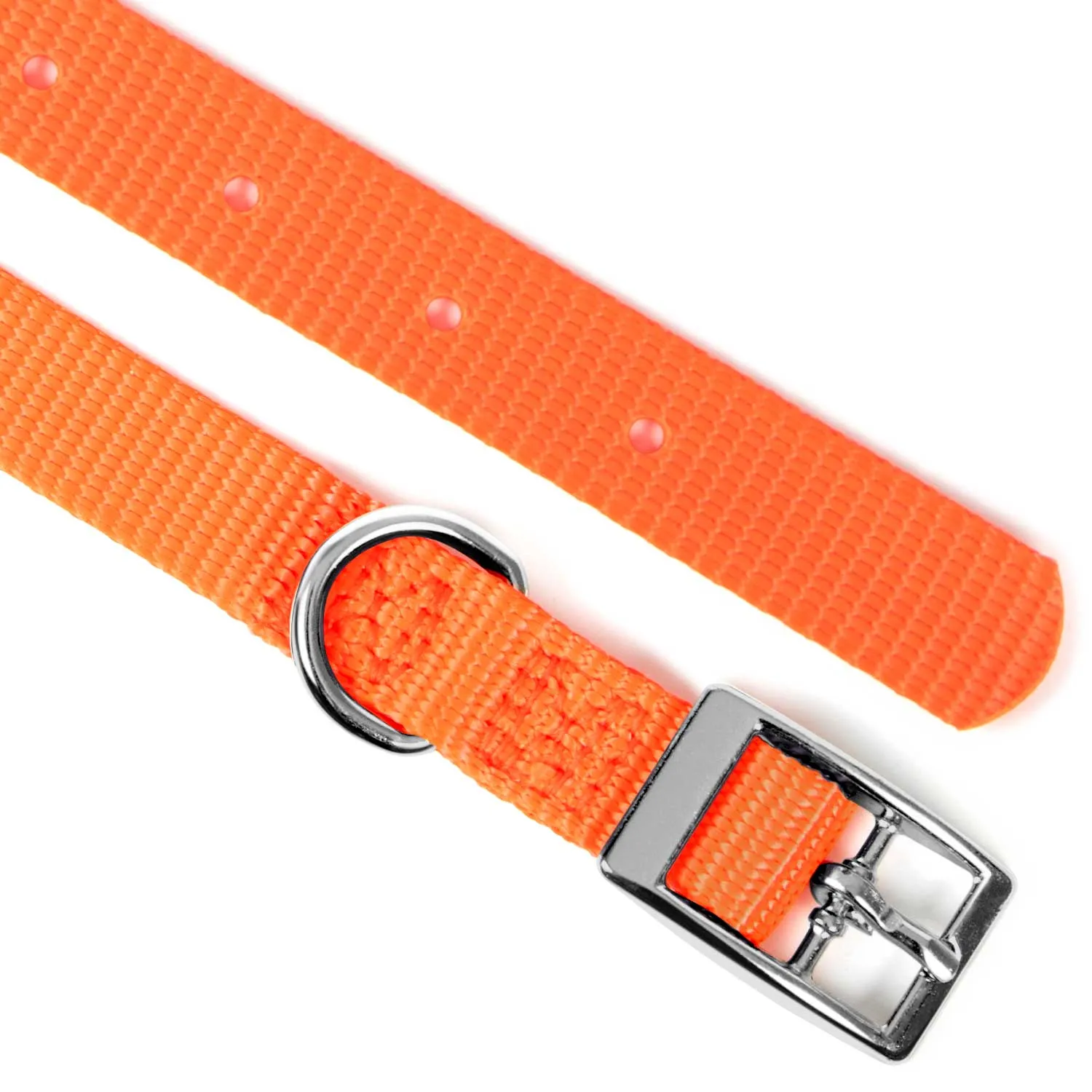 5/8"W Jeffers Nylon Dog Collar, 12"L
