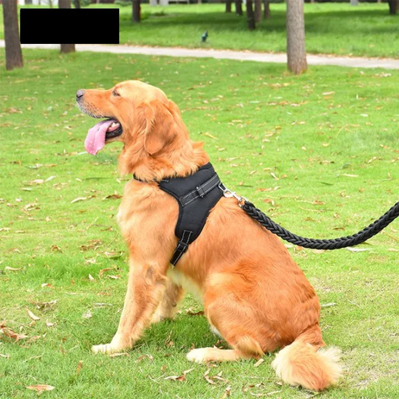 Adjustable Pet Dog & Cat Harness with Leash – Reflective & Breathable Harness Vest