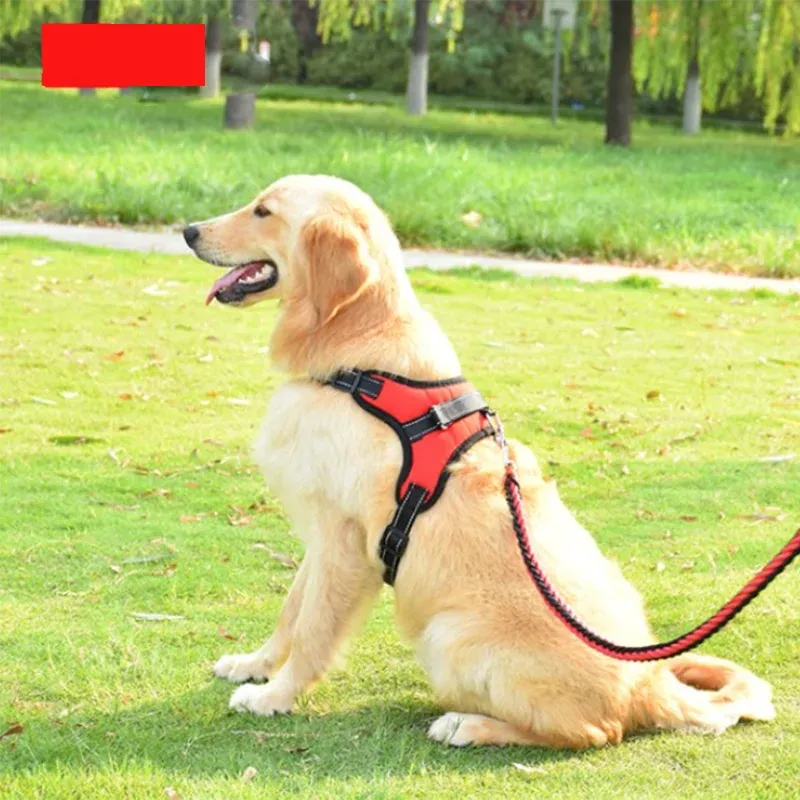 Adjustable Pet Dog & Cat Harness with Leash – Reflective & Breathable Harness Vest
