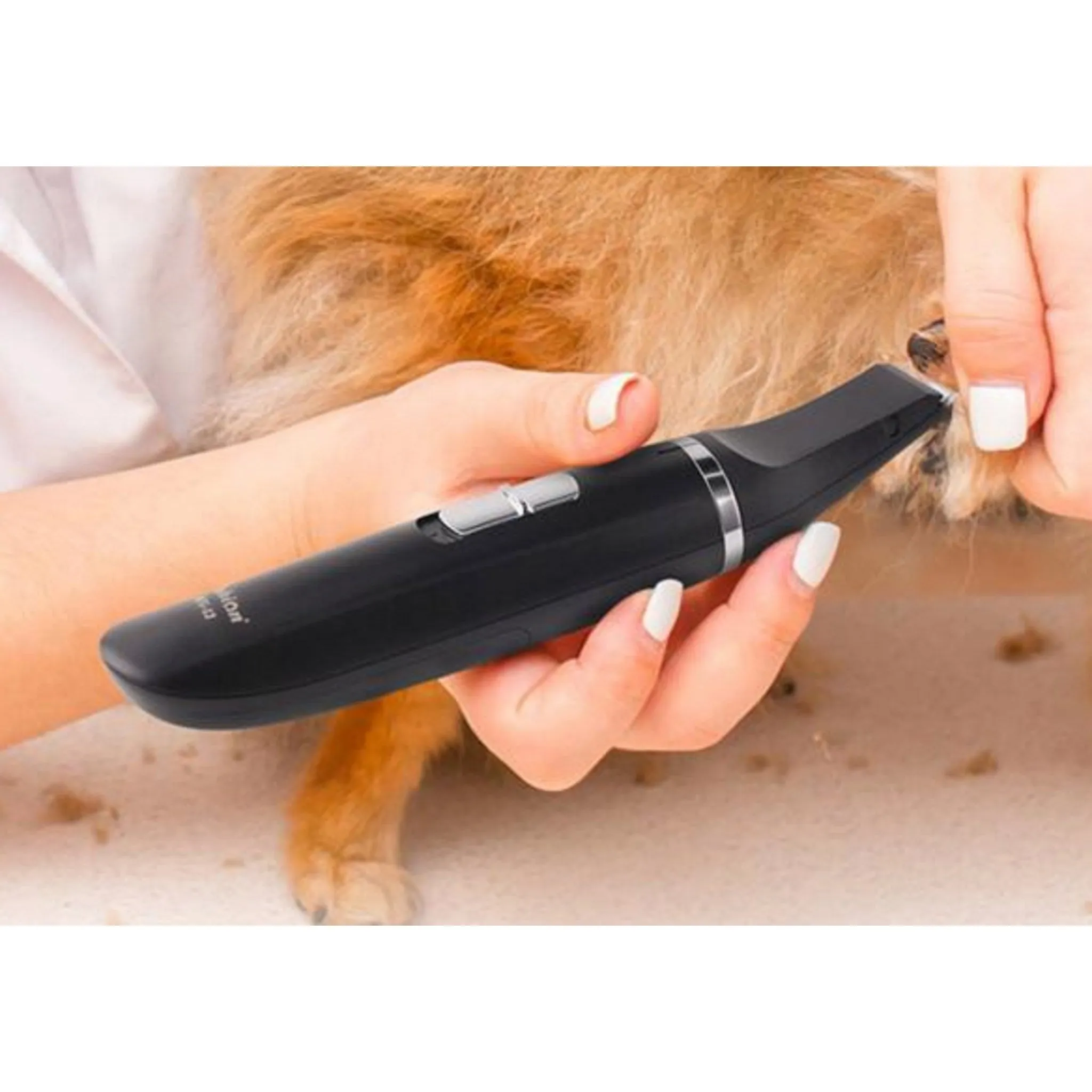 Barbion Foot Master Pet Paw Clippers BCG-13, Black, 1 Piece - 🏆 #22 - Pet Supplies - Best of December