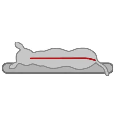 Bendson - Orthopaedic Cushion Oval - Grey