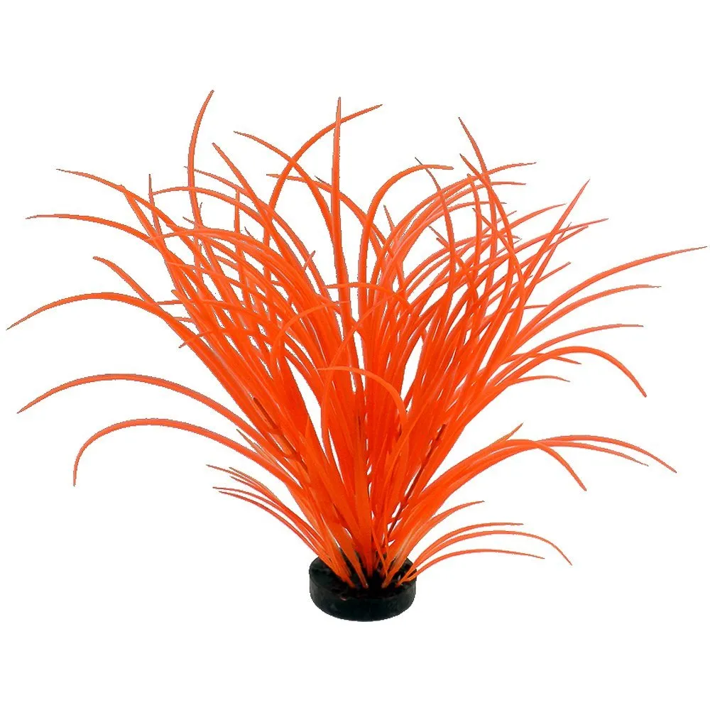 Blue Ribbon Colorburst Plant Ocean Grass