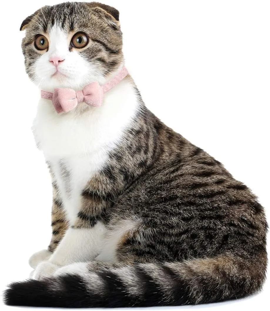 Cat Collar Breakaway with Bowtie Bell