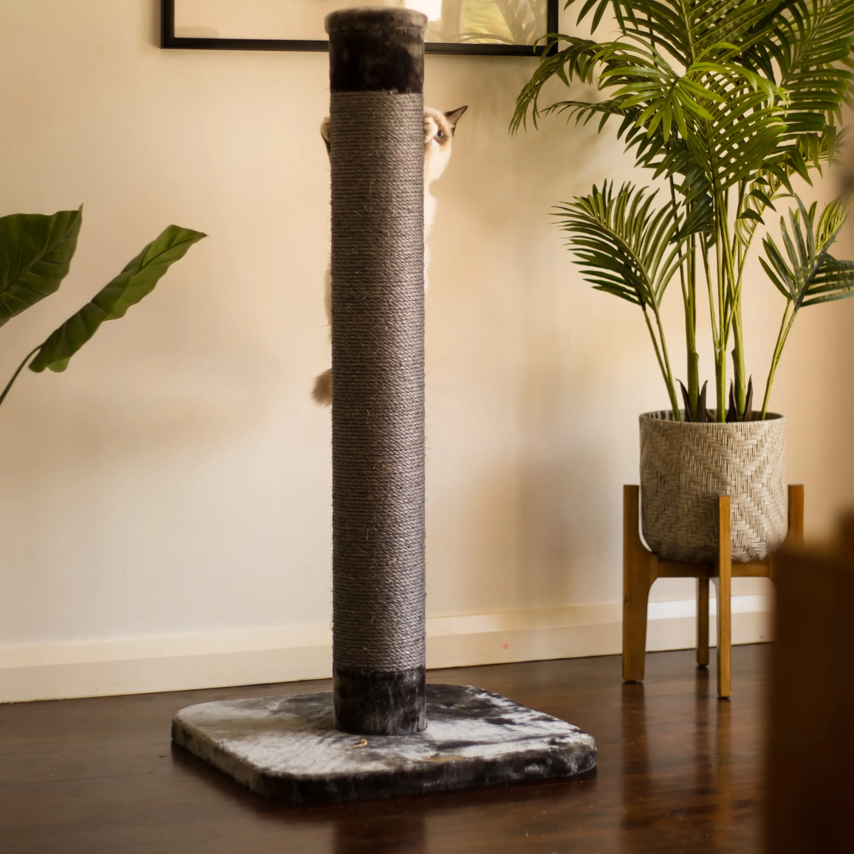Cat Scratch Post - Grey - Large