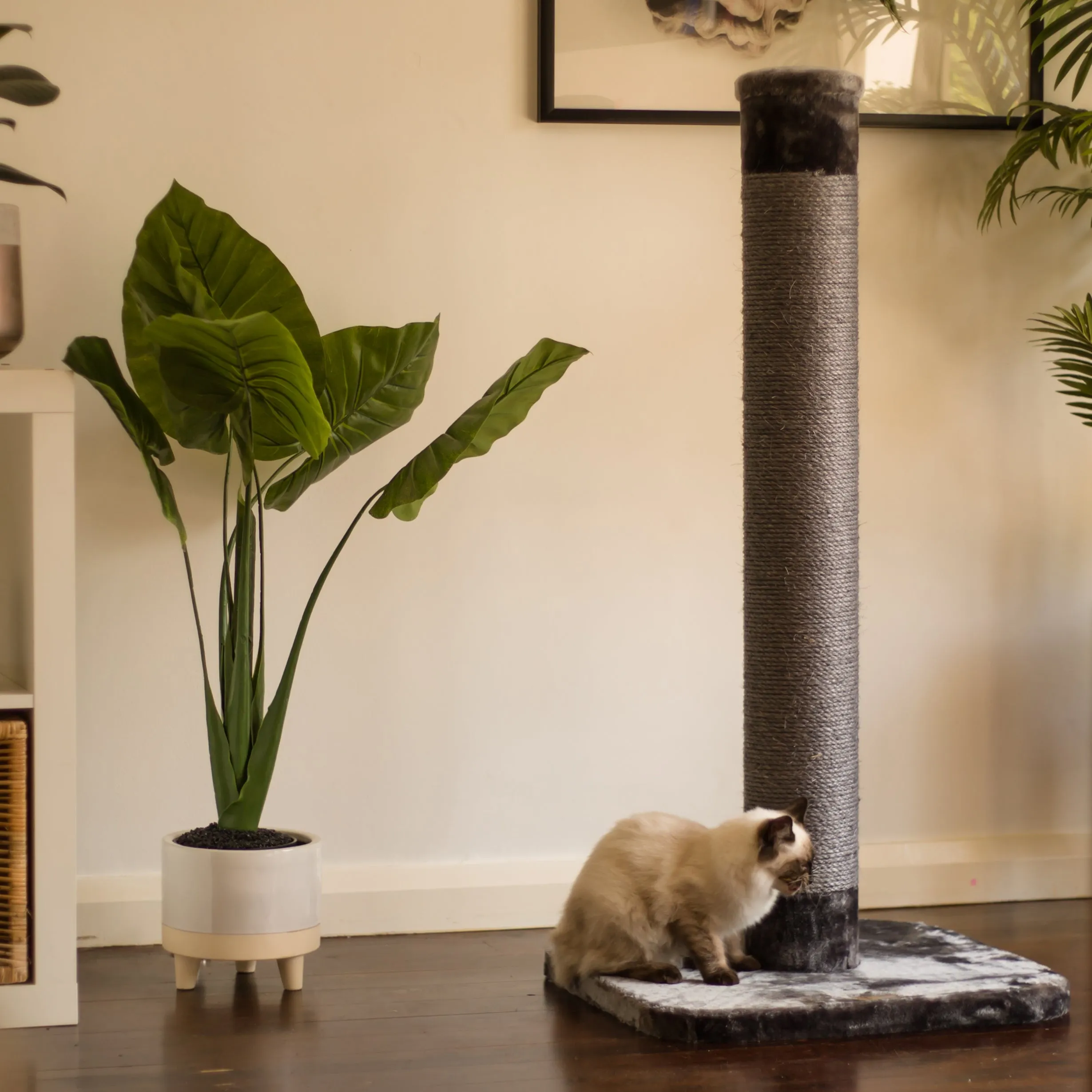 Cat Scratch Post - Grey - Large