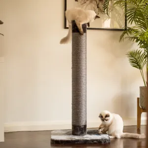 Cat Scratch Post - Grey - Large