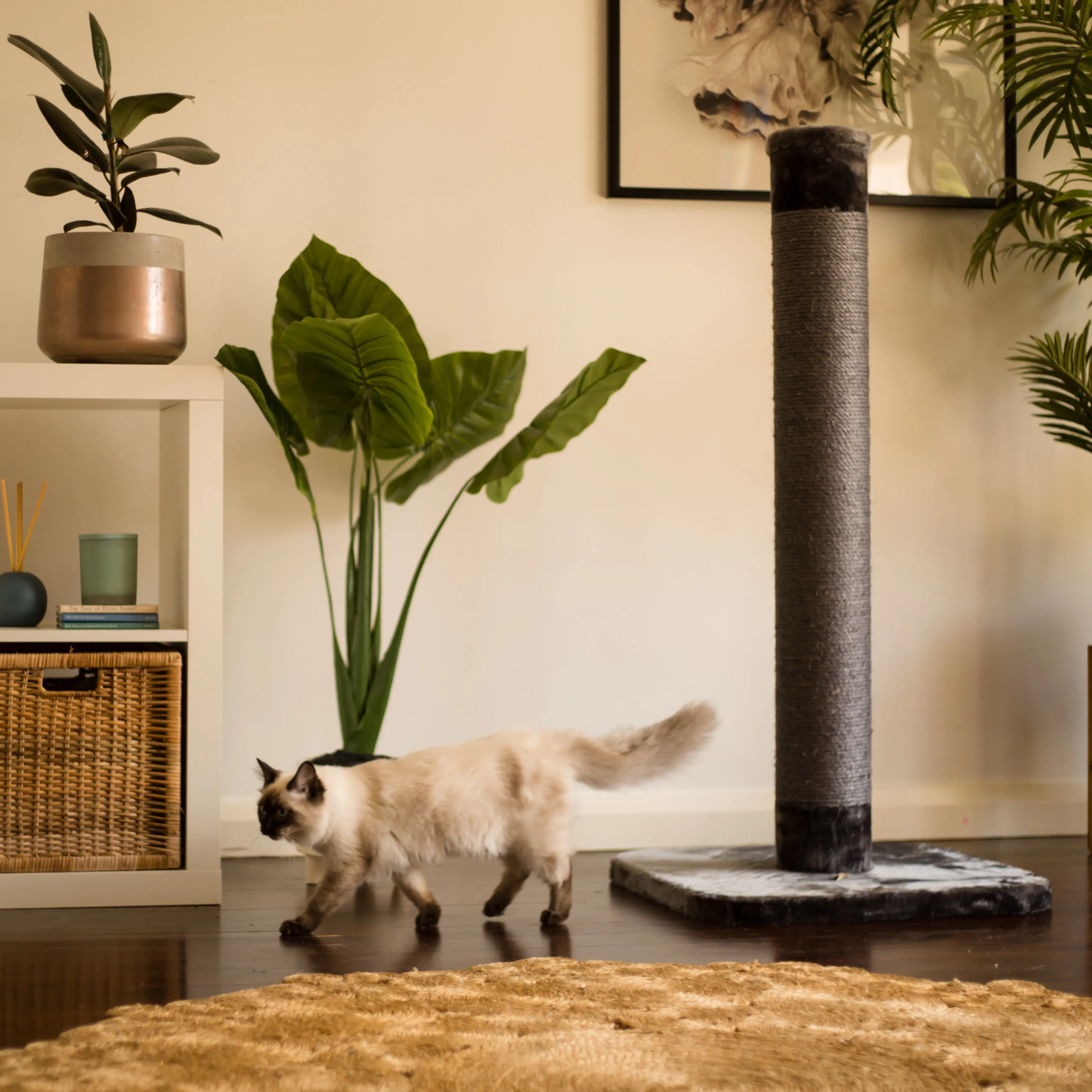 Cat Scratch Post - Grey - Large