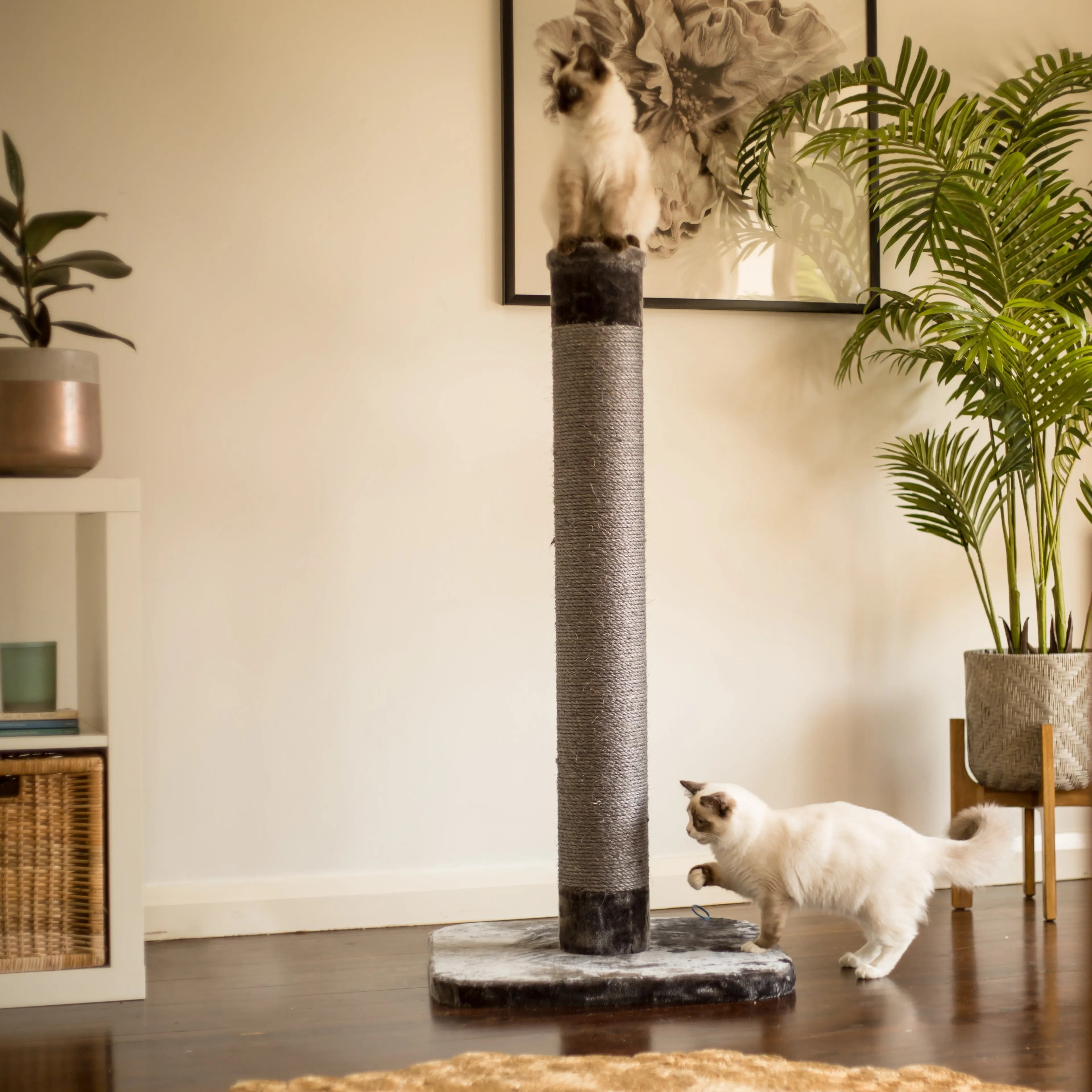 Cat Scratch Post - Grey - Large