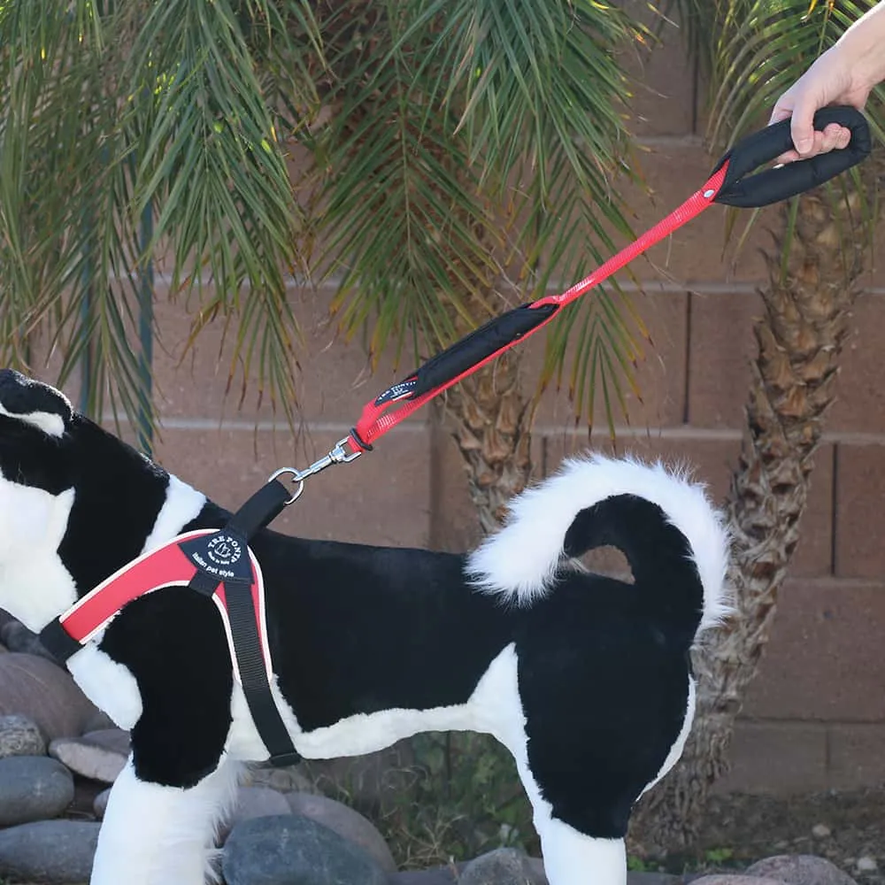 Double Handle Leash (Short)
