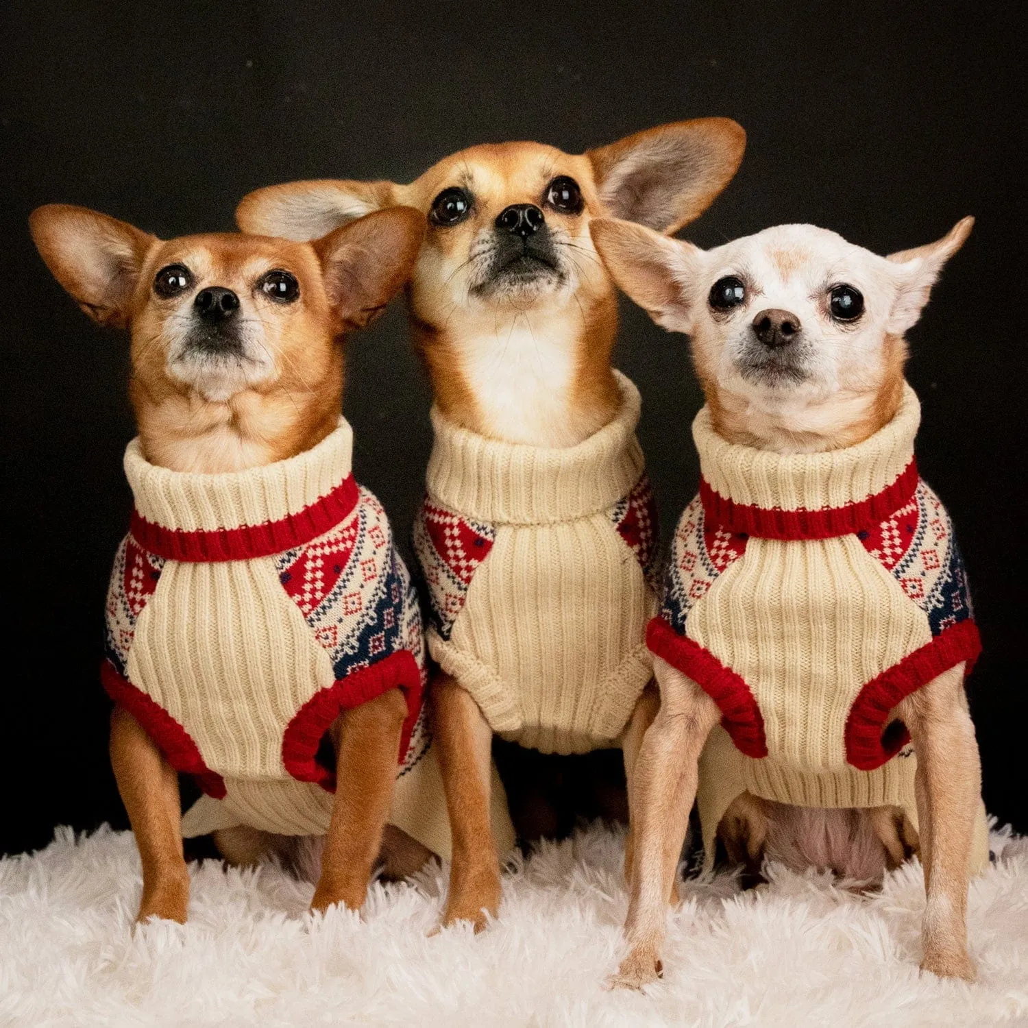 Fair Isle Family Matching Sweater in Cream