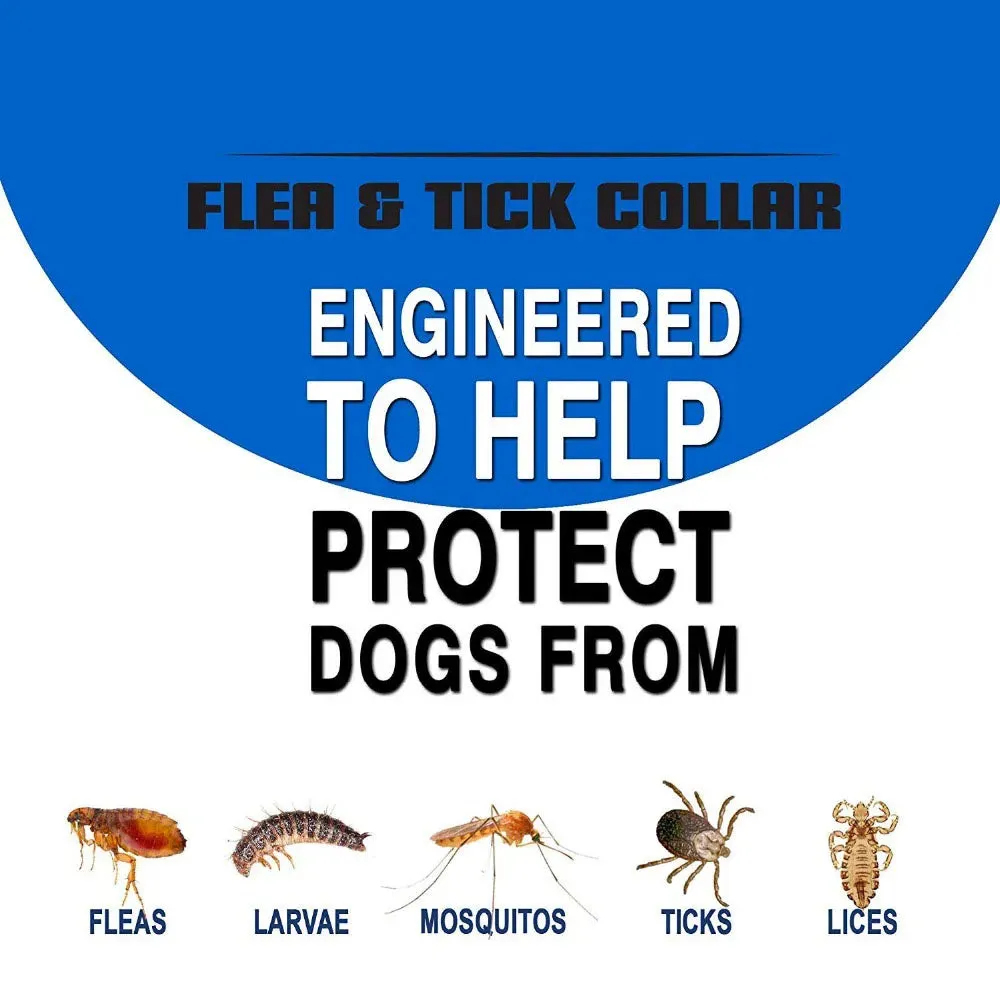 flea and tick collar dogs animals cat puppies kittens mosquito repellent ✈️ free.shipping