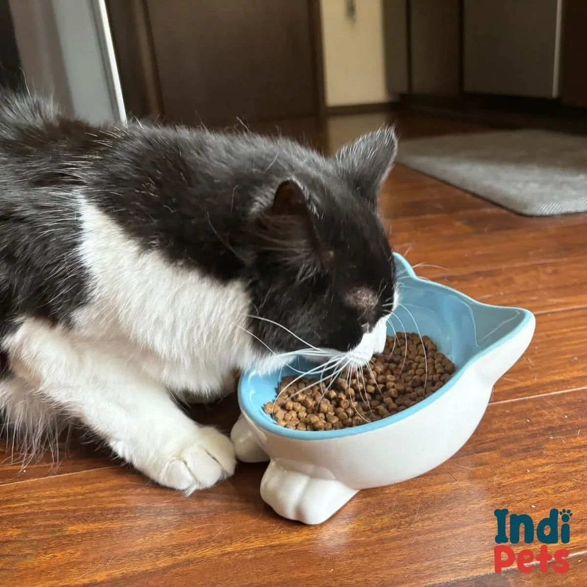 Indipets Pawsome Pottery Cat Face Pink Bowl