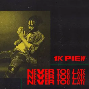Never Too Late CD