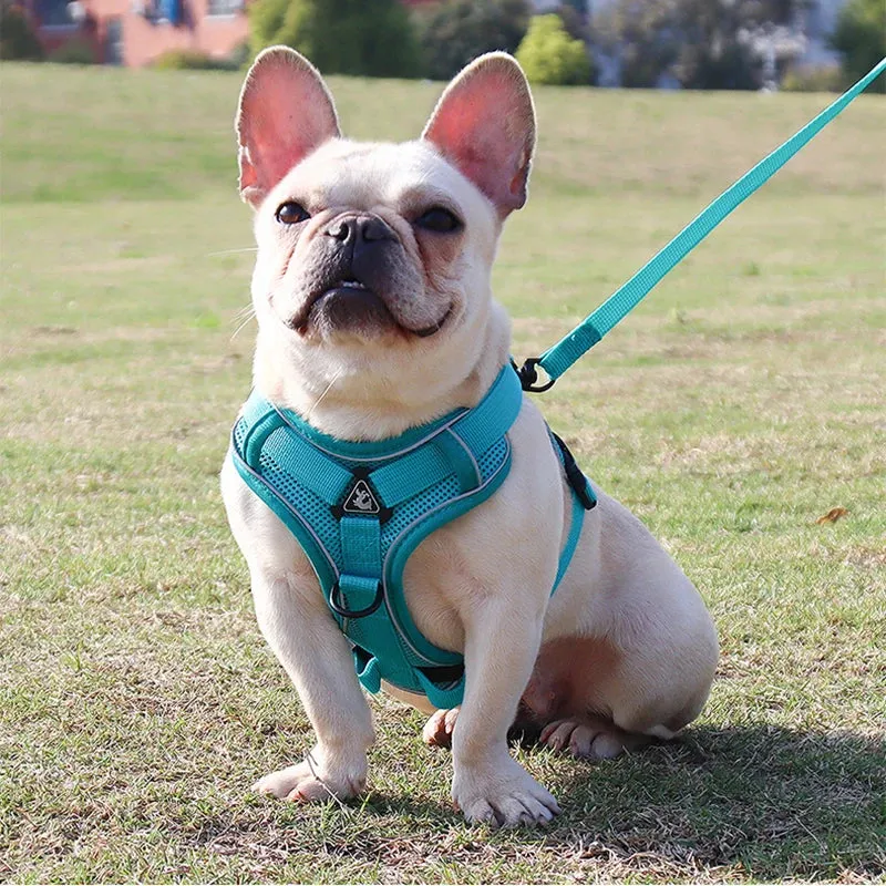 No-Pull Adjustable Dog Harness & Leash Set – Reflective Mesh Vest for Small Dogs & Cats