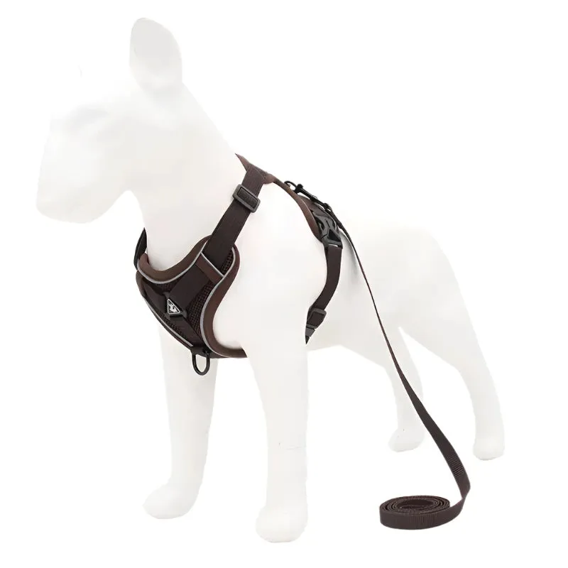 No-Pull Adjustable Dog Harness & Leash Set – Reflective Mesh Vest for Small Dogs & Cats