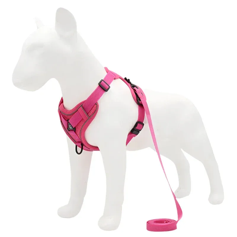 No-Pull Adjustable Dog Harness & Leash Set – Reflective Mesh Vest for Small Dogs & Cats