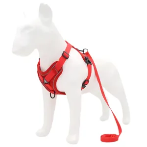 No-Pull Adjustable Dog Harness & Leash Set – Reflective Mesh Vest for Small Dogs & Cats