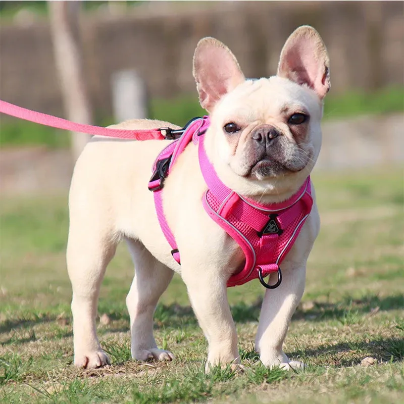 No-Pull Adjustable Dog Harness & Leash Set – Reflective Mesh Vest for Small Dogs & Cats