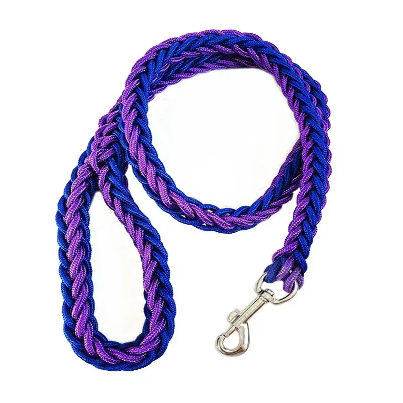 Nylon Dog Leash for Medium to Large Dogs – Training & Walking Lead