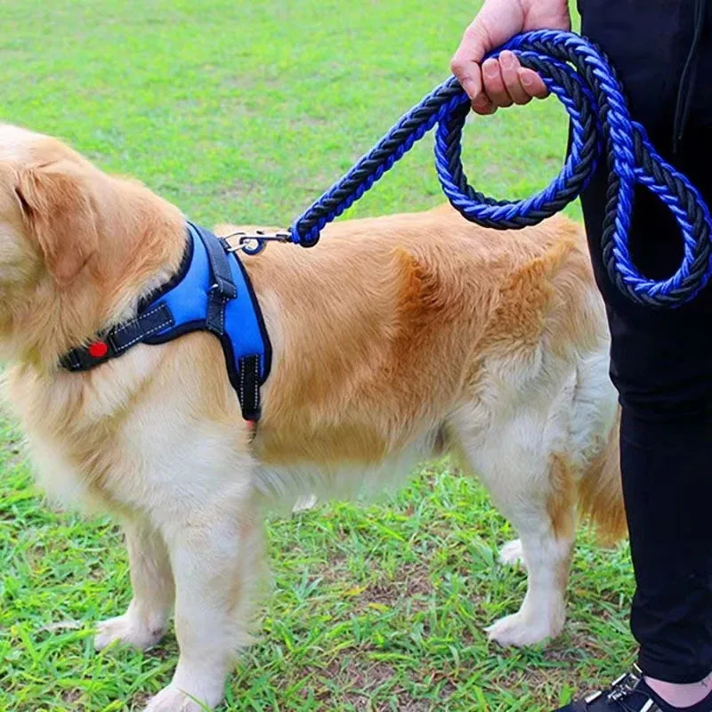 Nylon Dog Leash for Medium to Large Dogs – Training & Walking Lead