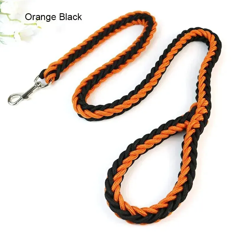 Nylon Dog Leash for Medium to Large Dogs – Training & Walking Lead
