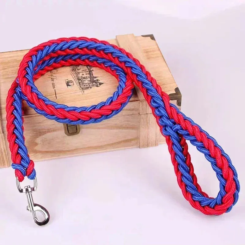 Nylon Dog Leash for Medium to Large Dogs – Training & Walking Lead