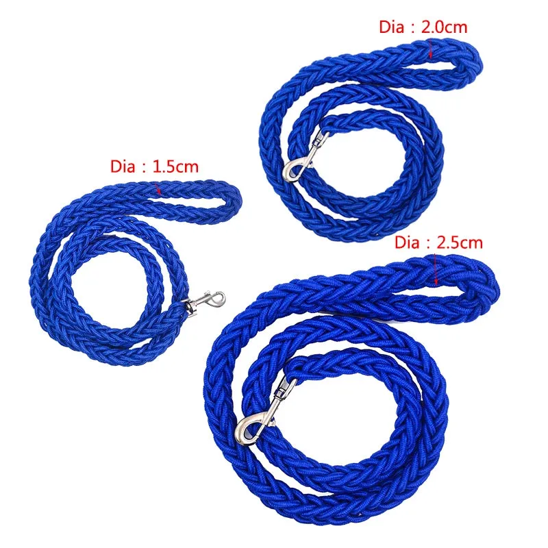 Nylon Dog Leash for Medium to Large Dogs – Training & Walking Lead