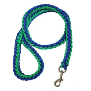 Nylon Dog Leash for Medium to Large Dogs – Training & Walking Lead