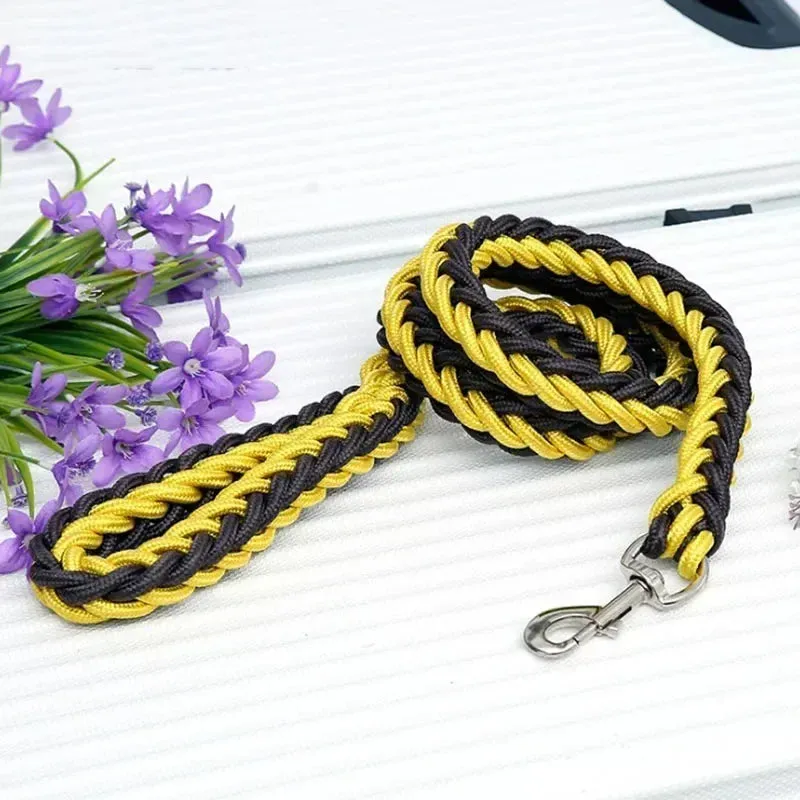 Nylon Dog Leash for Medium to Large Dogs – Training & Walking Lead
