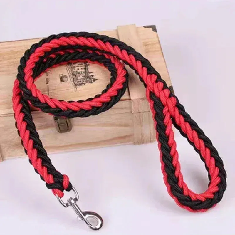 Nylon Dog Leash for Medium to Large Dogs – Training & Walking Lead