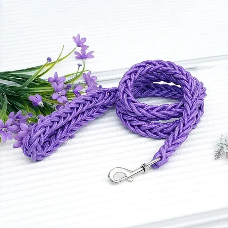 Nylon Dog Leash for Medium to Large Dogs – Training & Walking Lead