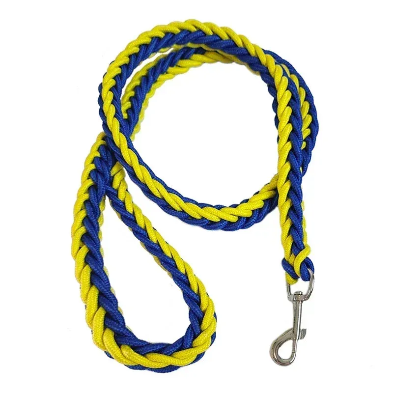Nylon Dog Leash for Medium to Large Dogs – Training & Walking Lead