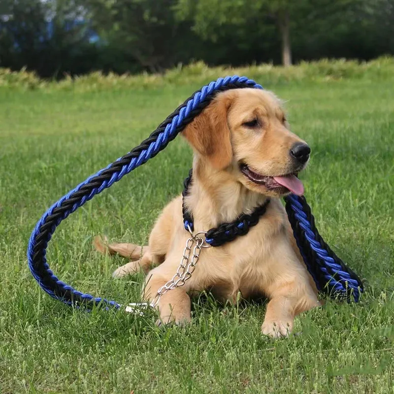 Nylon Dog Leash for Medium to Large Dogs – Training & Walking Lead