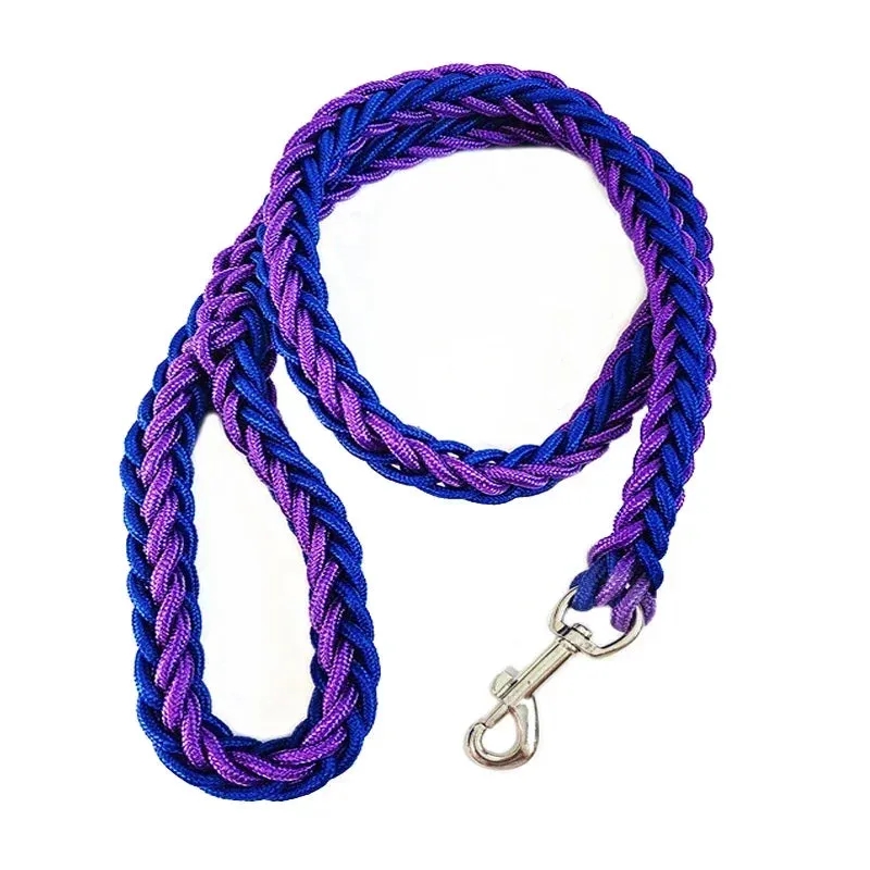 Nylon Dog Leash for Medium to Large Dogs – Training & Walking Lead