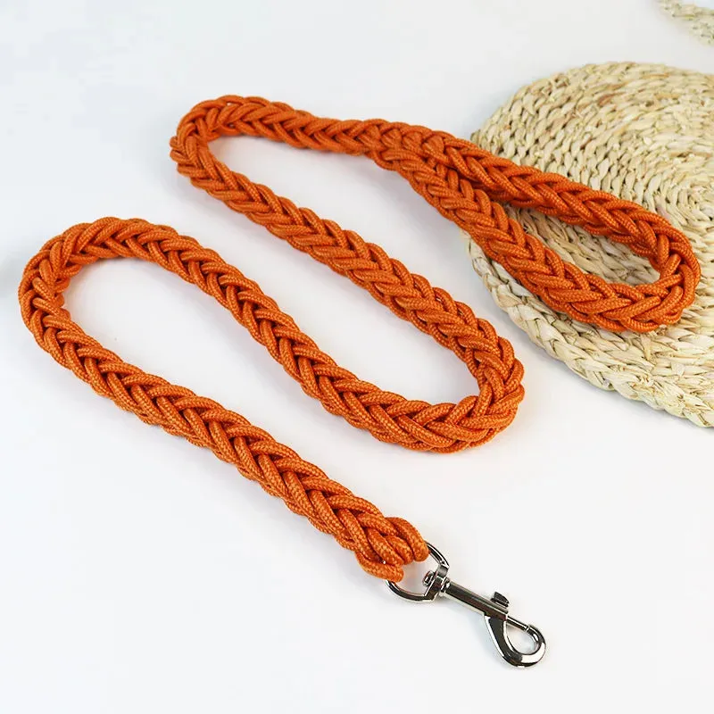 Nylon Dog Leash for Medium to Large Dogs – Training & Walking Lead