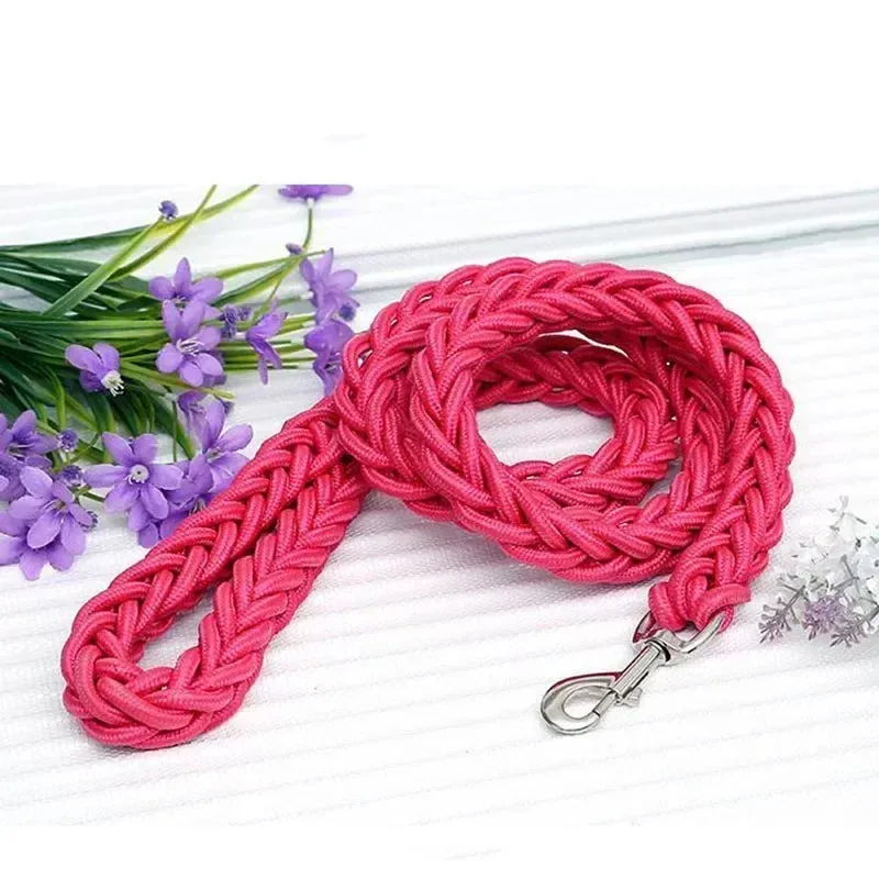 Nylon Dog Leash for Medium to Large Dogs – Training & Walking Lead