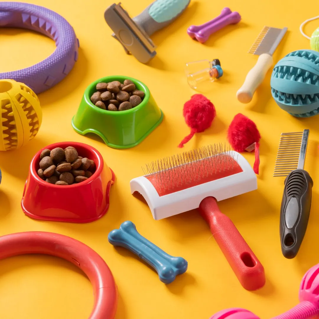 Pet Care Service - Pet Boarding, Dog Walking, Pet Transportation, Pet Nutrition and Supplies Delivery