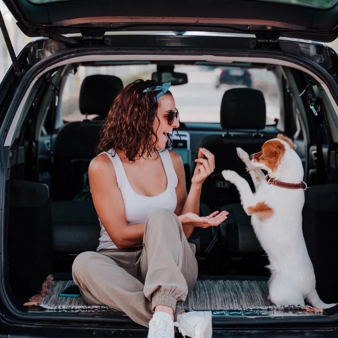 Pet Care Service - Pet Boarding, Dog Walking, Pet Transportation, Pet Nutrition and Supplies Delivery