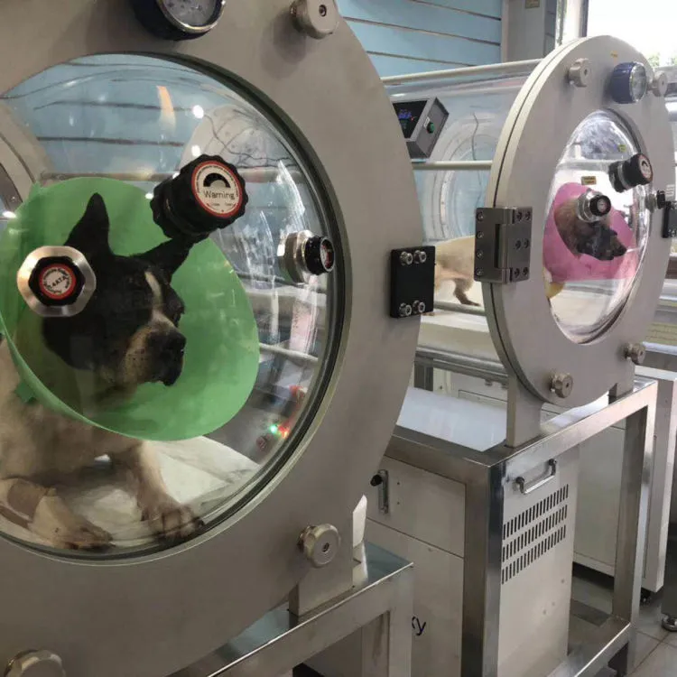 Pet hyperbaric oxygen chamber I hyperbaric chamber oxygen therapy For Pet Dog Cat
