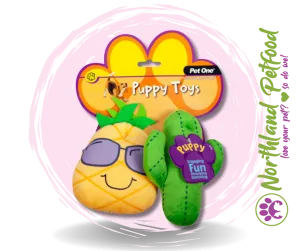 Pet One Cactus Family - Assorted Puppy Toy