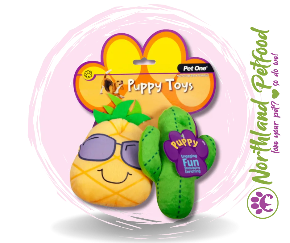 Pet One Cactus Family - Assorted Puppy Toy