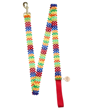 Playdate Dog Leash
