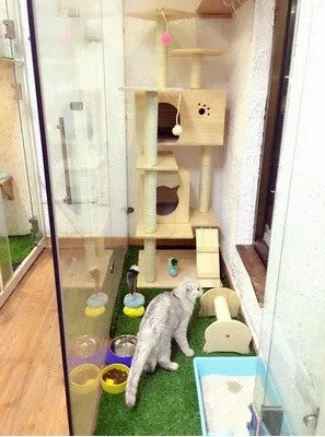 PVC Pole Multiple Perches Solid Wood Cat Gym