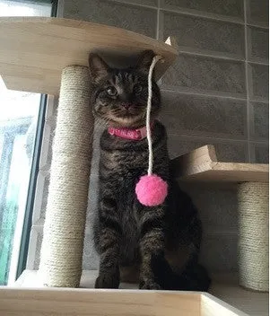 PVC Pole Multiple Perches Solid Wood Cat Gym