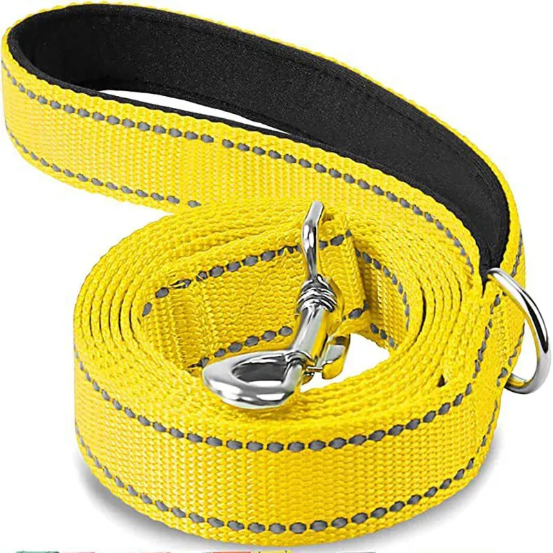 Reflective Pet Leash for Cats and Dogs – Durable Towing Rope for Walking and Training