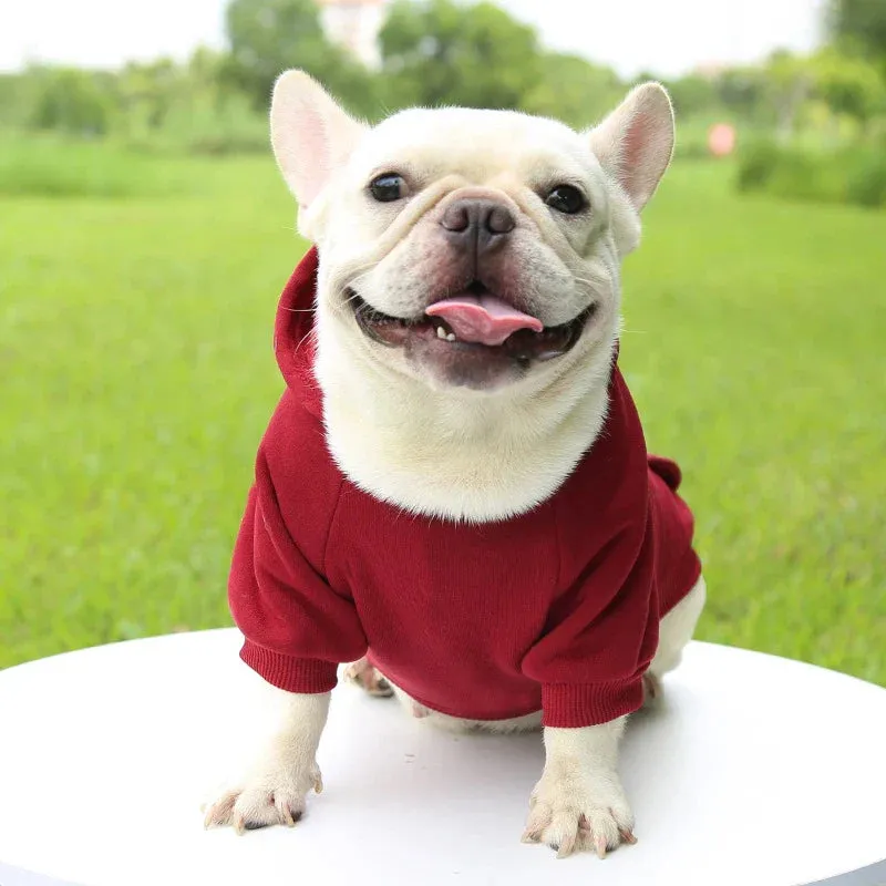 Stylish Dog Hoodie for Autumn and Winter - Warm Polyester Sweater for Small Pets