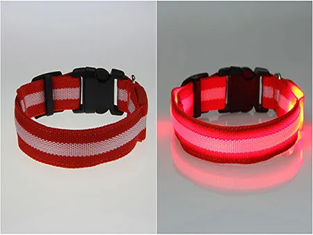 USPS Shipping 8 Color S M L Size Glow LED Dog Pet Cat Flashing Light Up Nylon Collar Night Safety Collars Supplies Dropship